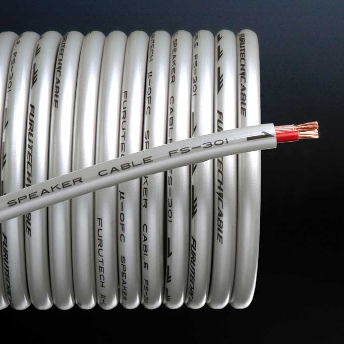 FS-301 Speaker Wires (M)