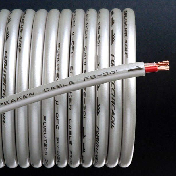 FS-301 Speaker Wires (M)