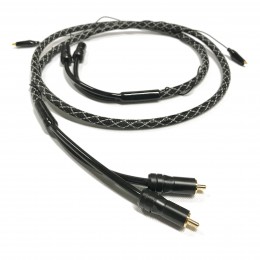 SPIRIT-T1-RCA