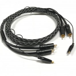 SPIRIT-T1-RCA