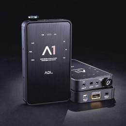 A1